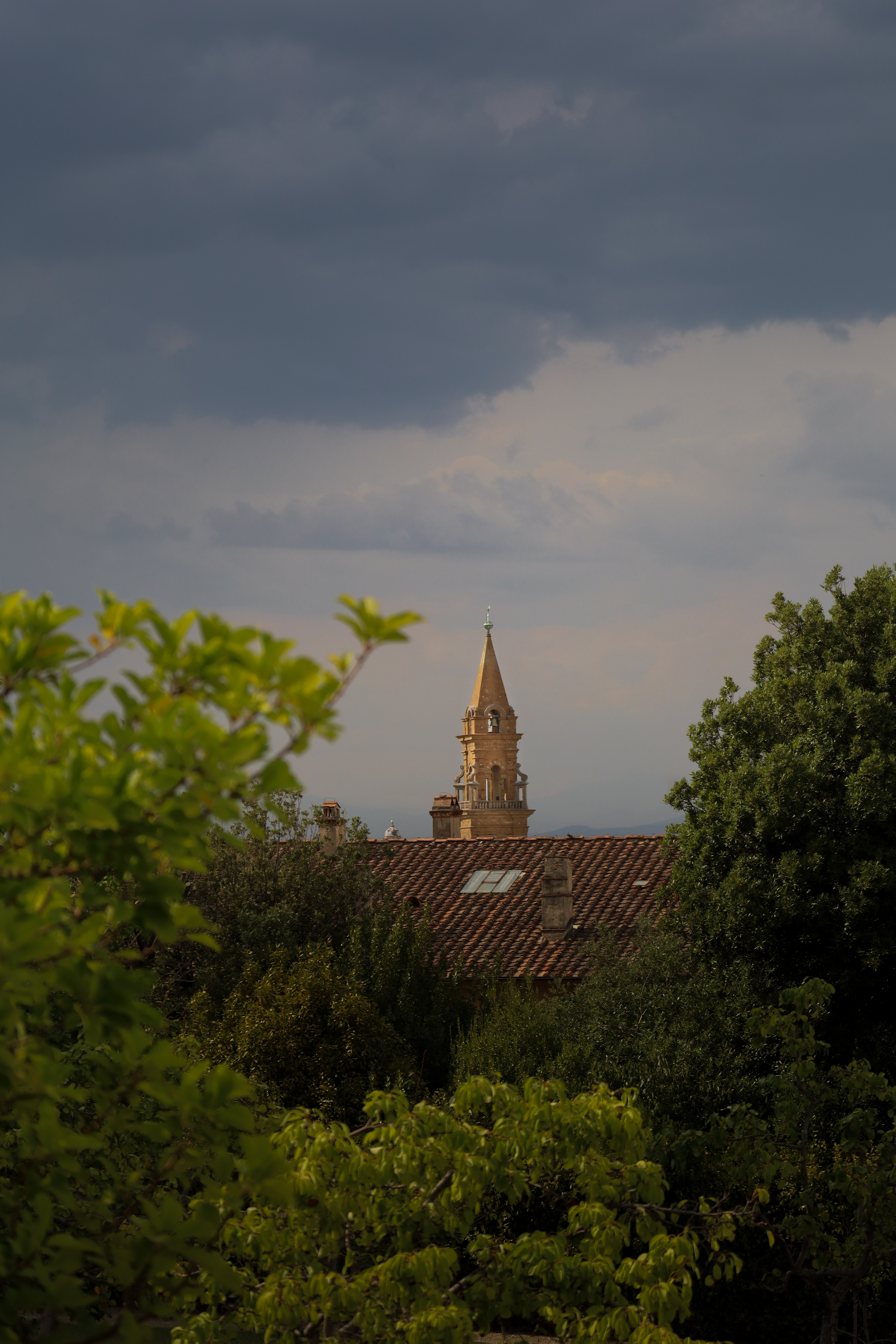 IMG_1217.jpeg